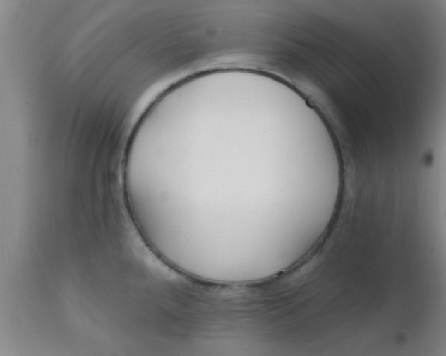 X0000112541288200909071413