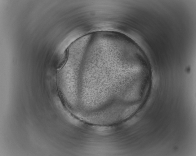 X0000112541289200909071413