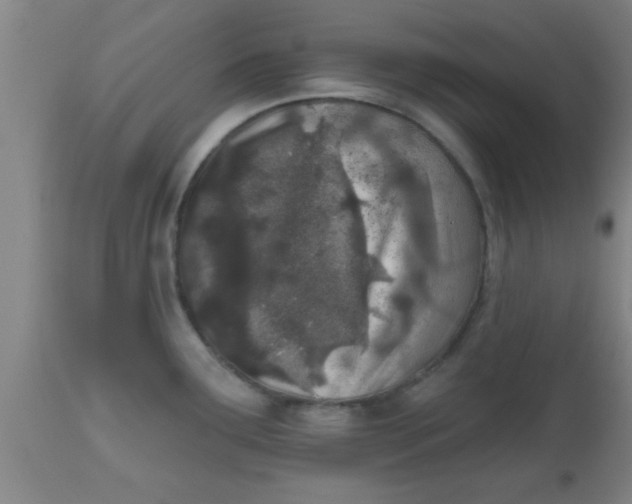 X0000112541291200909071413