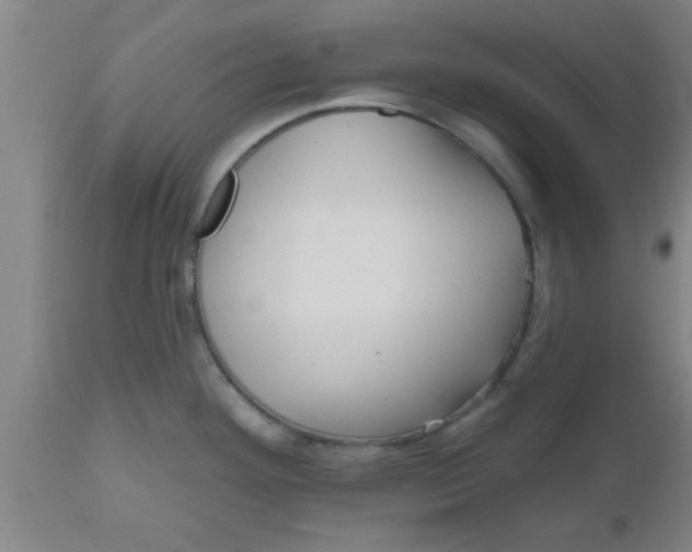 X0000112541292200909071413