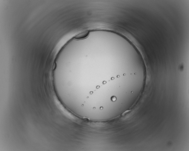 X0000112541293200909071413
