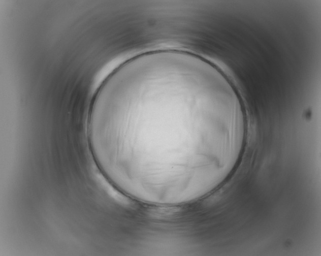 X0000112541294200909071413