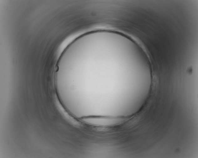 X0000112541295200909071413
