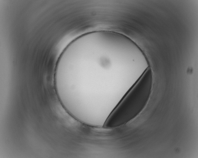 X0000112541296200909071413