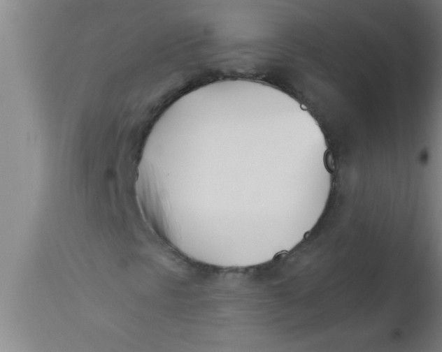 X0000112541297200909071412