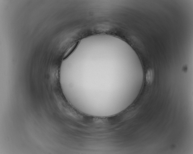 X0000112541299200909071412