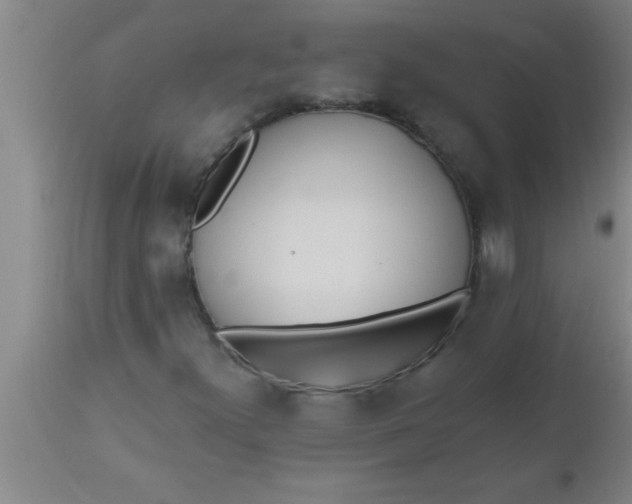 X0000112541300200909071412