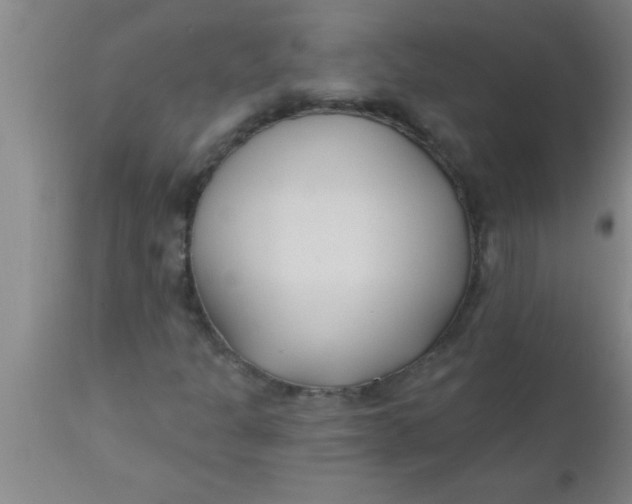X0000112541301200909071412