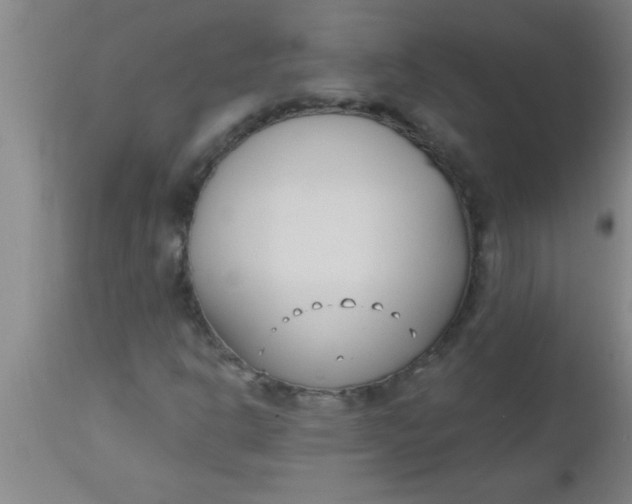 X0000112541302200909071412