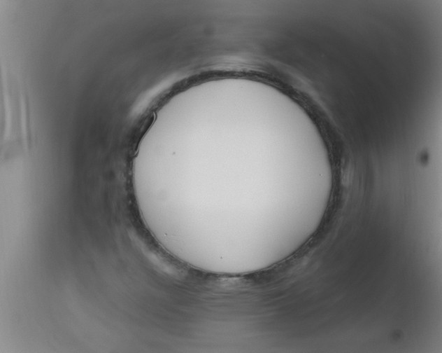 X0000112541304200909071412