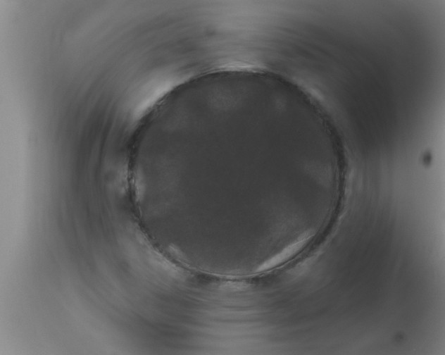 X0000112541306200909071412