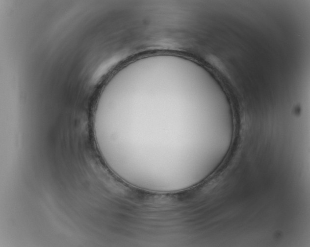 X0000112541307200909071412