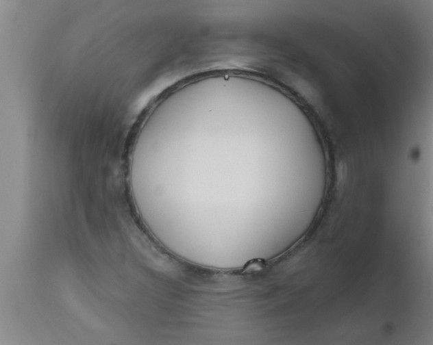 X0000112541308200909071412