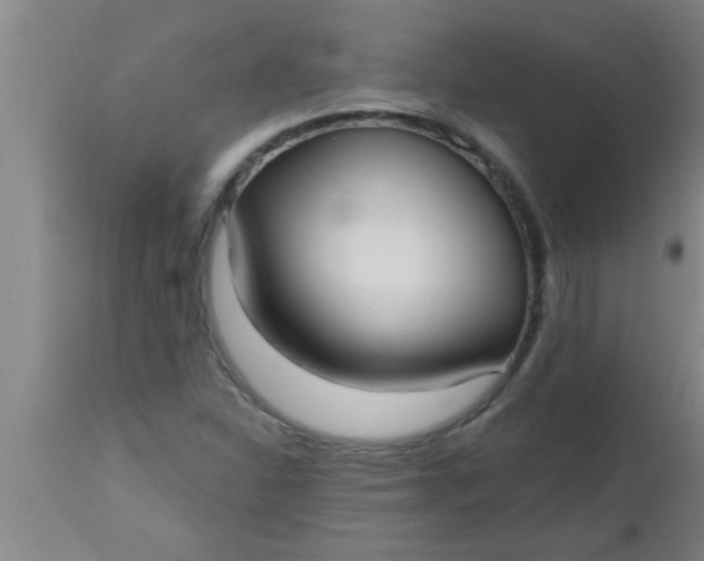 X0000112541310200909071412