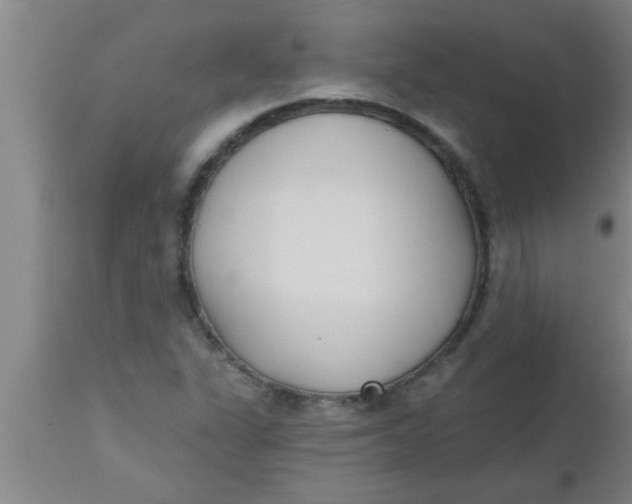 X0000112541311200909071412