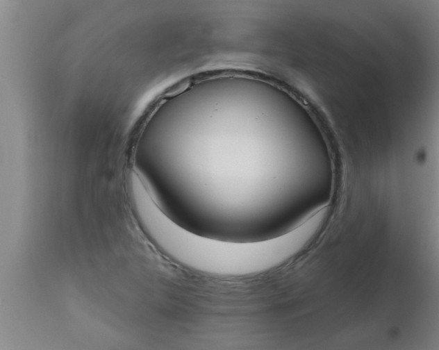 X0000112541312200909071412