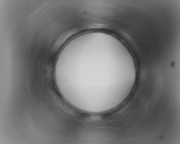 X0000112541313200909071412