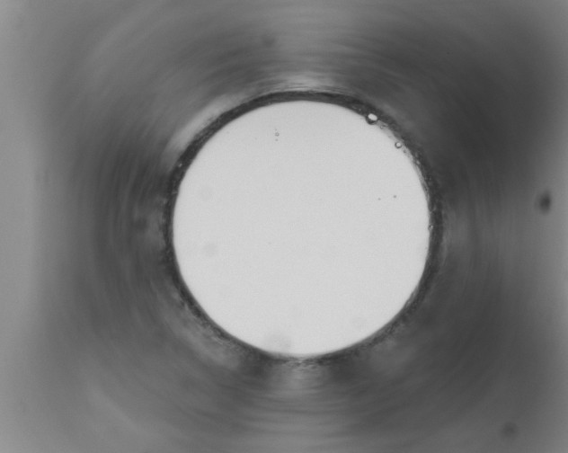 X0000112541314200909071412