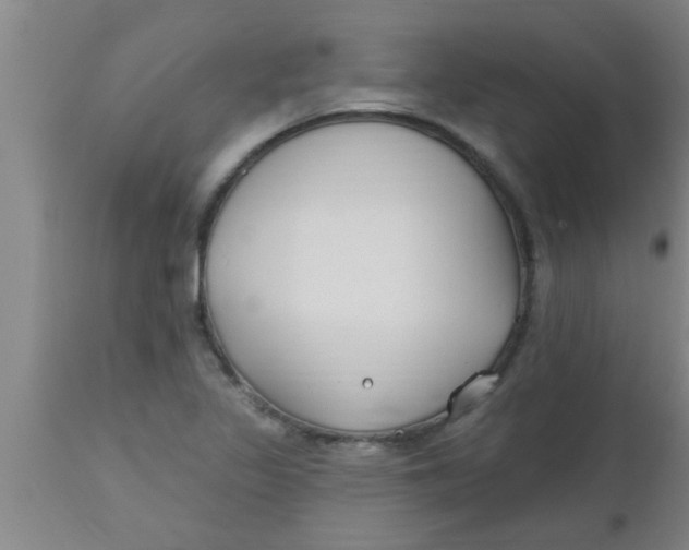 X0000112541317200909071412
