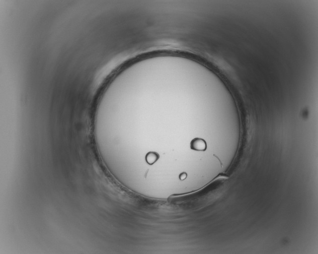 X0000112541318200909071412