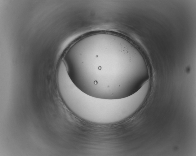 X0000112541320200909071412