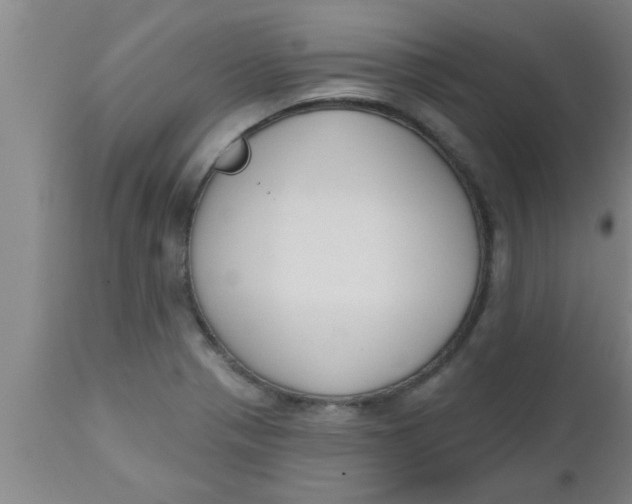 X0000112541321200909071412