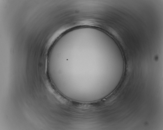 X0000112541323200909071412