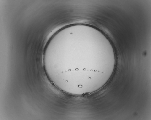 X0000112541324200909071412