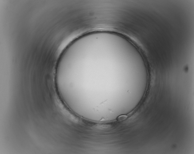 X0000112541325200909071412