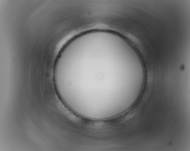 X0000112541326200909071412