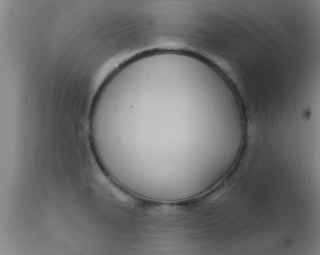 X0000112541327200909071412