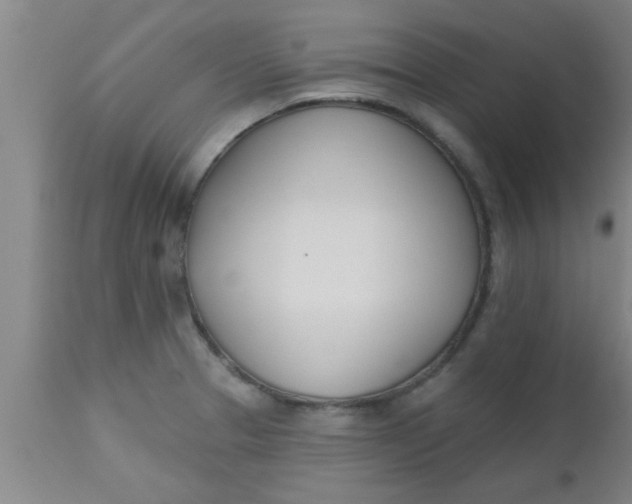 X0000112541329200909071412