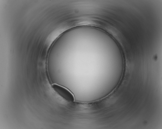 X0000112541330200909071413