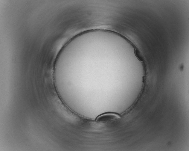 X0000112541332200909071413