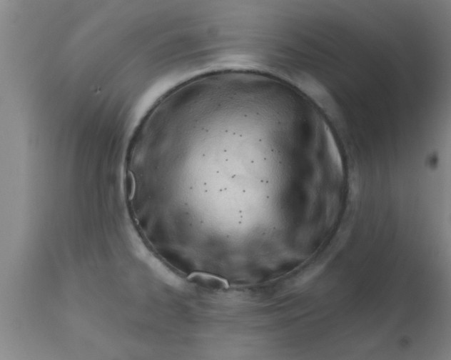 X0000112541334200909071413
