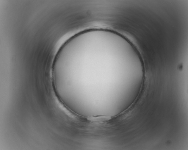 X0000112541335200909071413