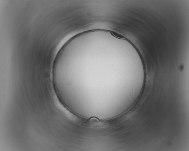 X0000112541339200909071413