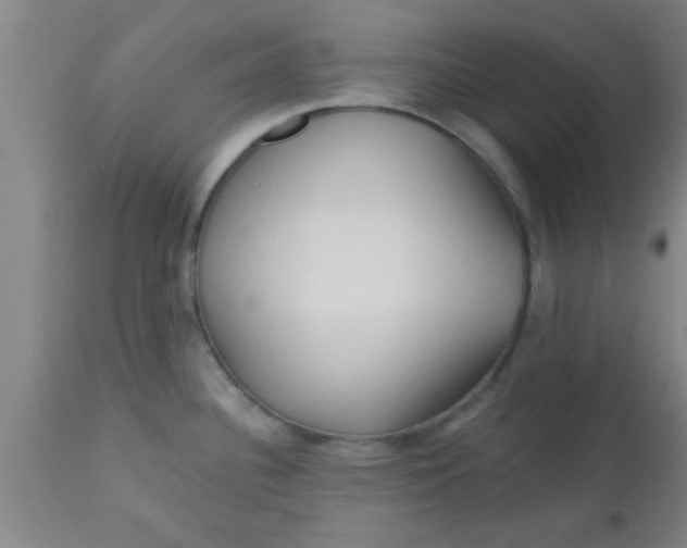 X0000112541340200909071413