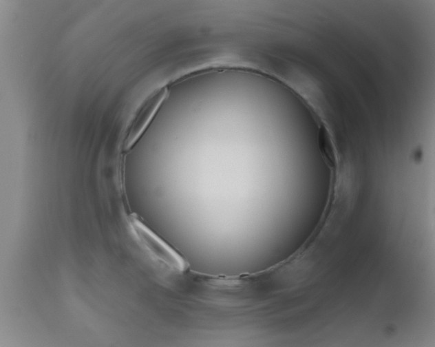 X0000112541342200909071413
