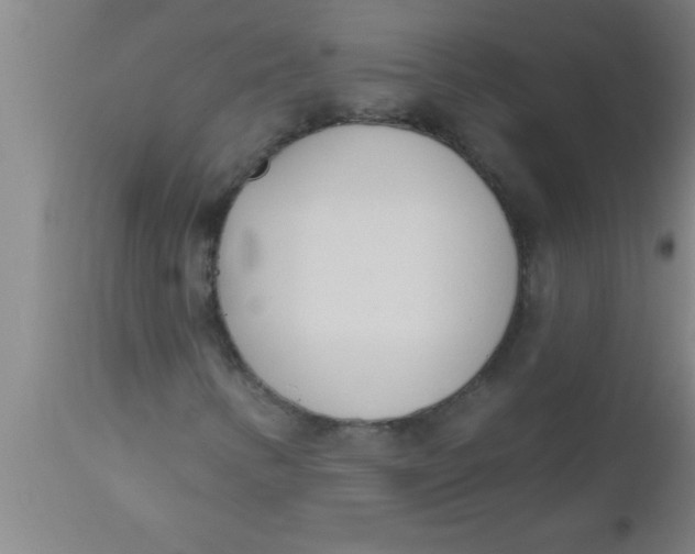 X0000112541346200909071412