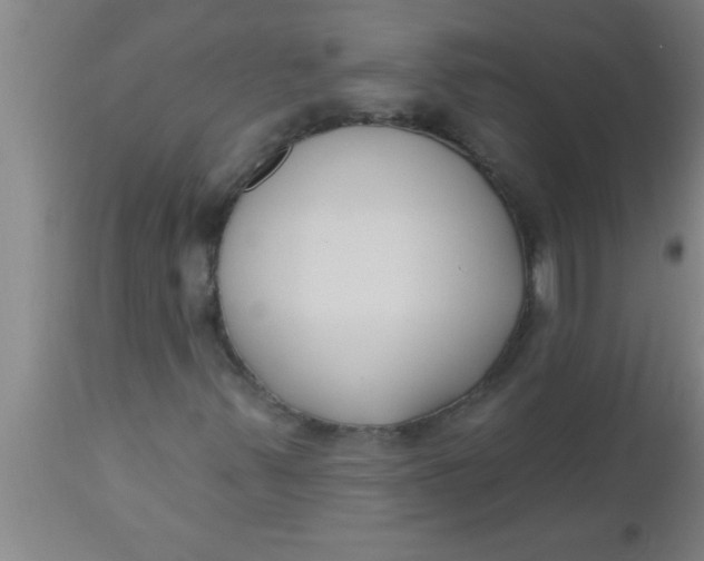 X0000112541347200909071412