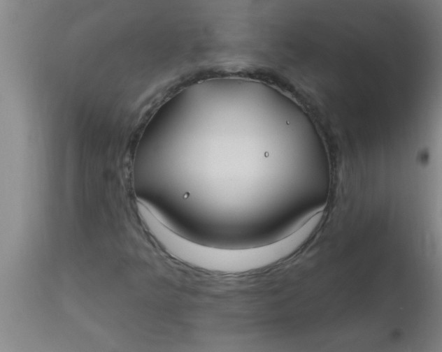 X0000112541349200909071412