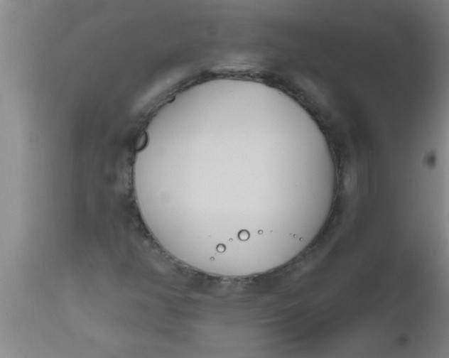 X0000112541350200909071412