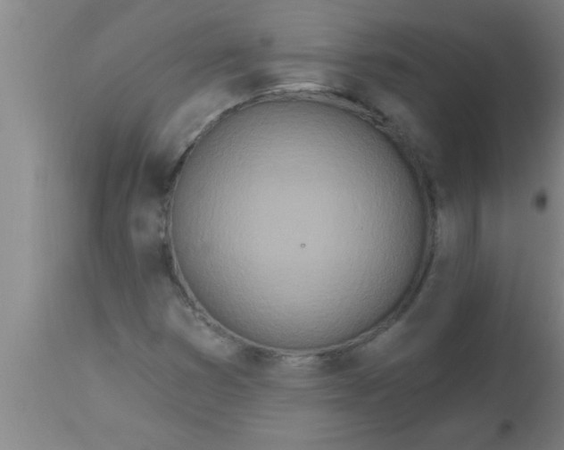 X0000112541353200909071412