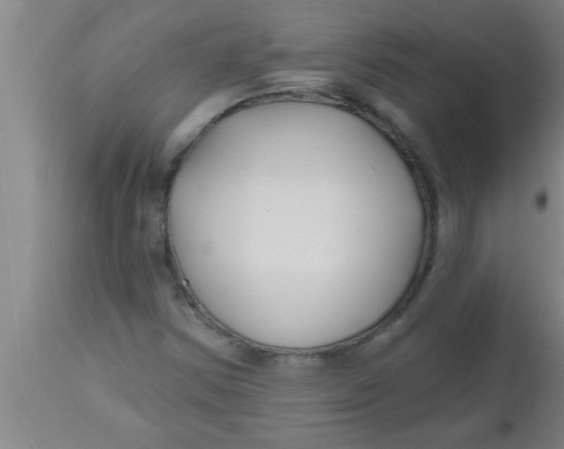 X0000112541354200909071412