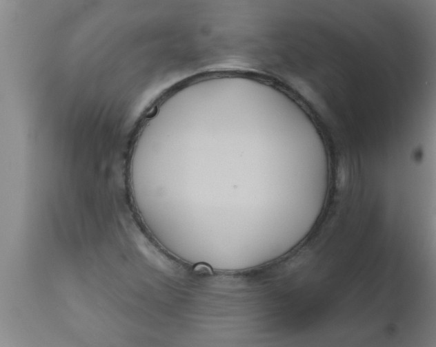 X0000112541356200909071412