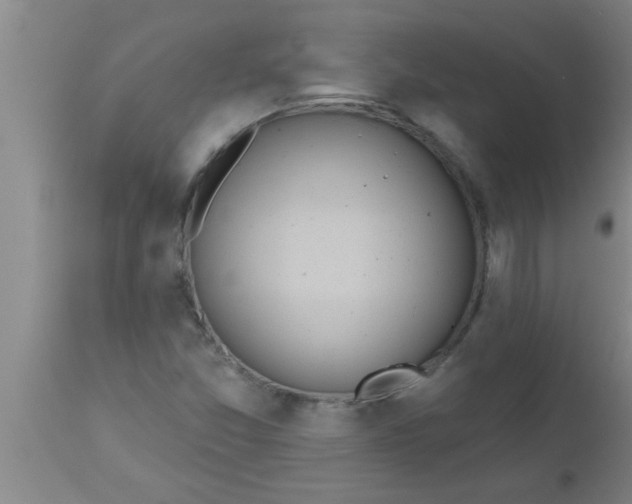 X0000112541357200909071412