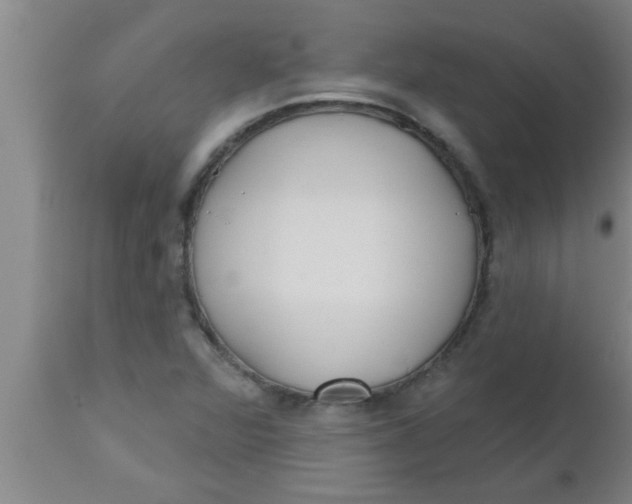 X0000112541360200909071412