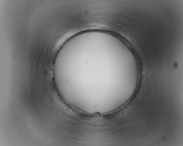 X0000112541363200909071412