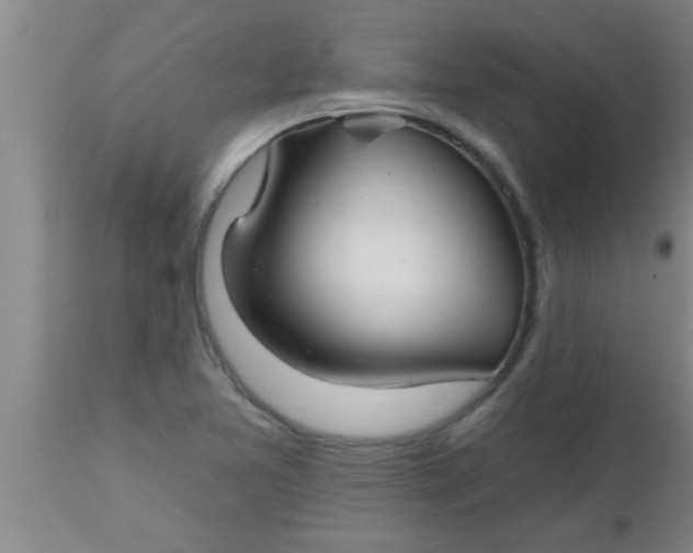 X0000112541365200909071412